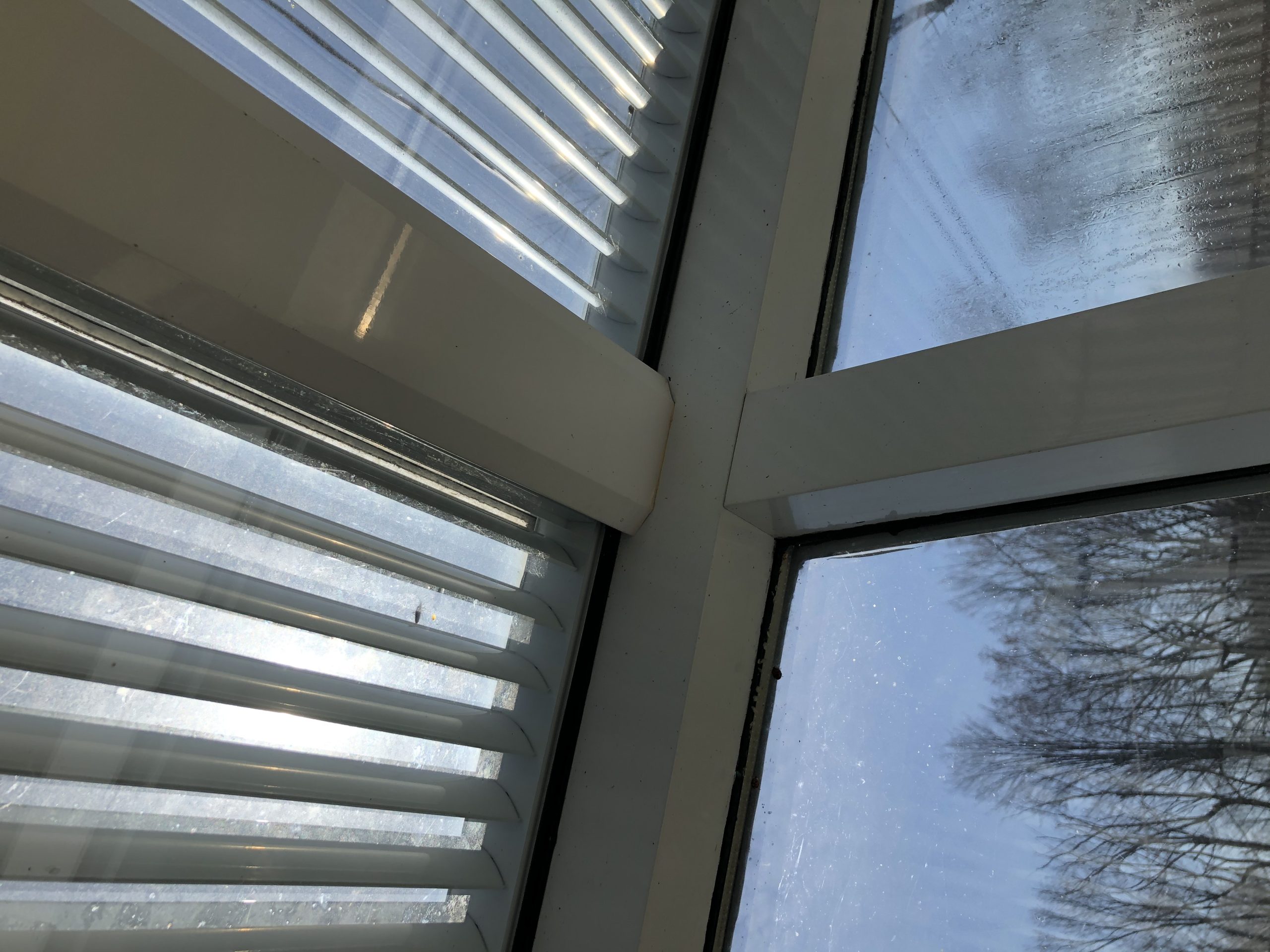 remplacement de verre